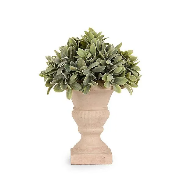 12IN Boxwood Urn Ivory