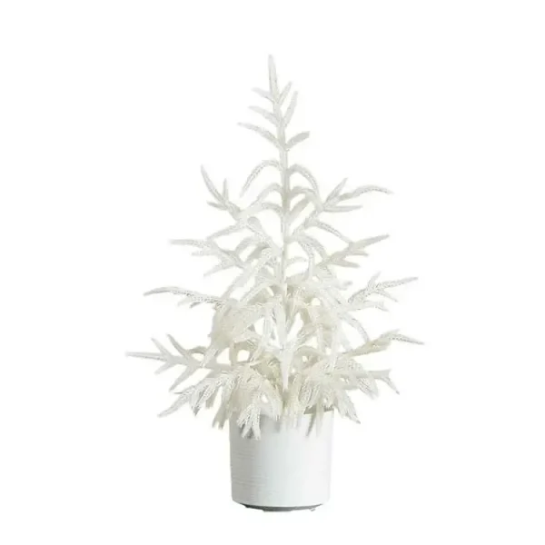 2 ft. White Norfolk Island Pine Christmas Tree